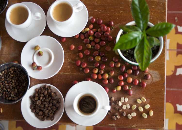 ¿Cuántas tazas de café se puede tomar un diabético al día?