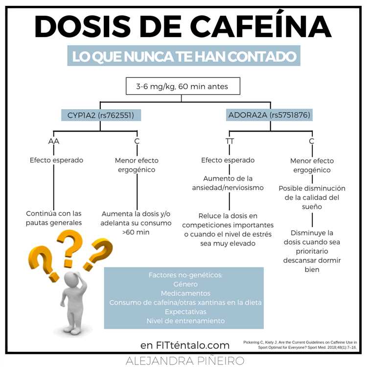 ¿Cuánto dura el efecto de la cafeína en el cuerpo?