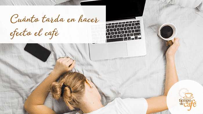 ¿Qué es la cafeína anhidra?