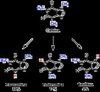 Efectos de la cafeína en el rendimiento cognitivo