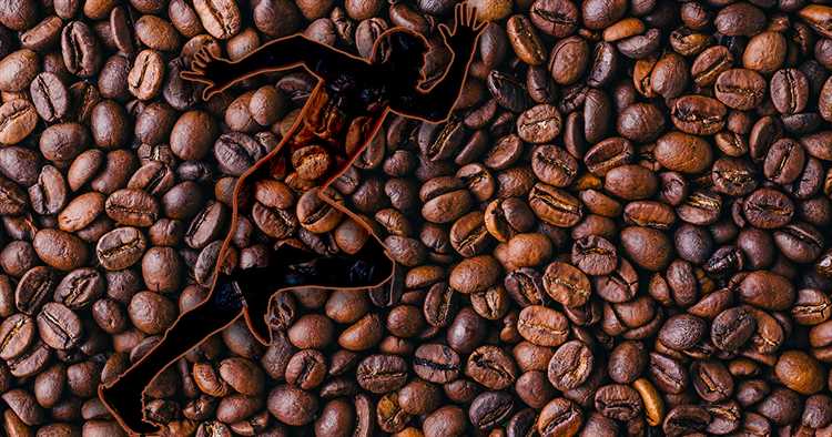 La cafeína como estimulante del sistema nervioso central