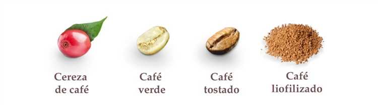 ¿Qué es el café bio?