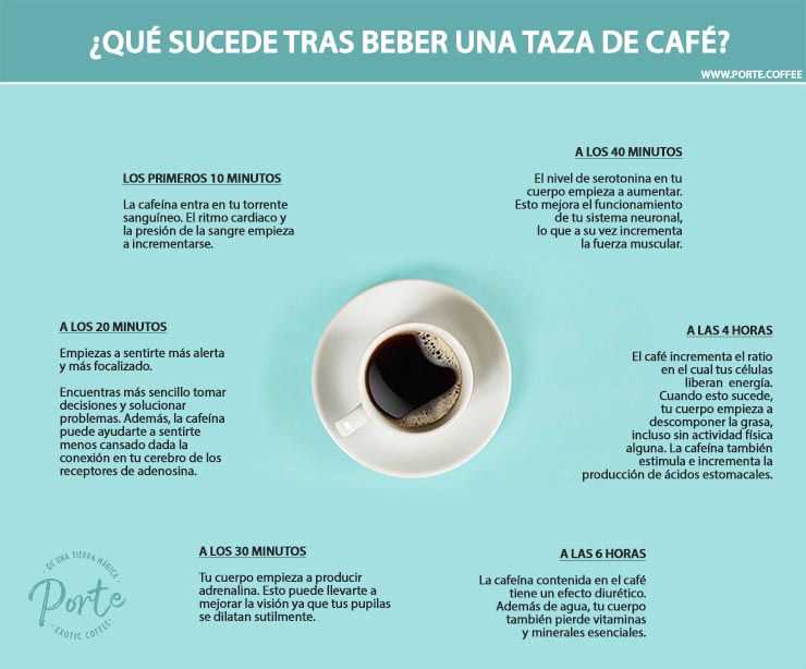 Impacto del café en el metabolismo